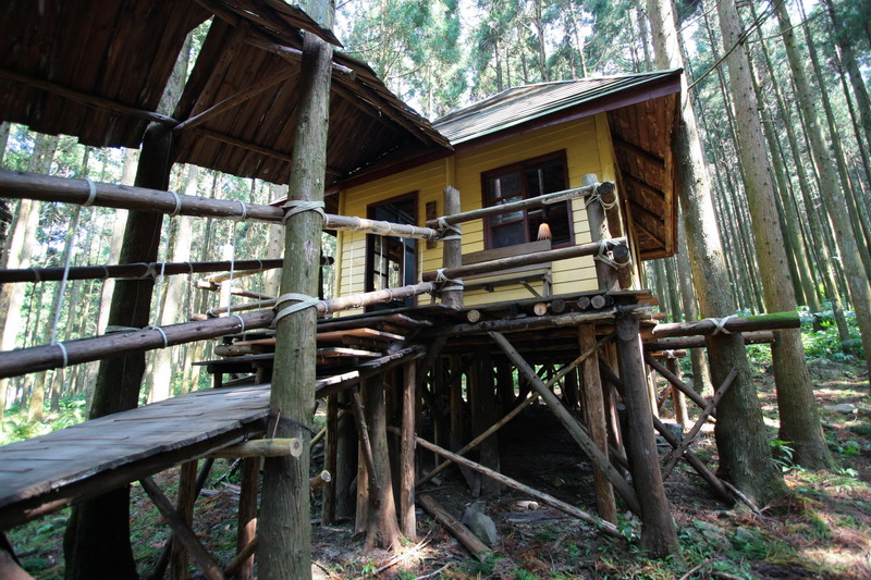 森林小屋 攝影：簡時強