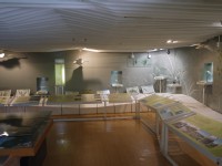 自然中心館內解說模型<br/> 攝影：三井