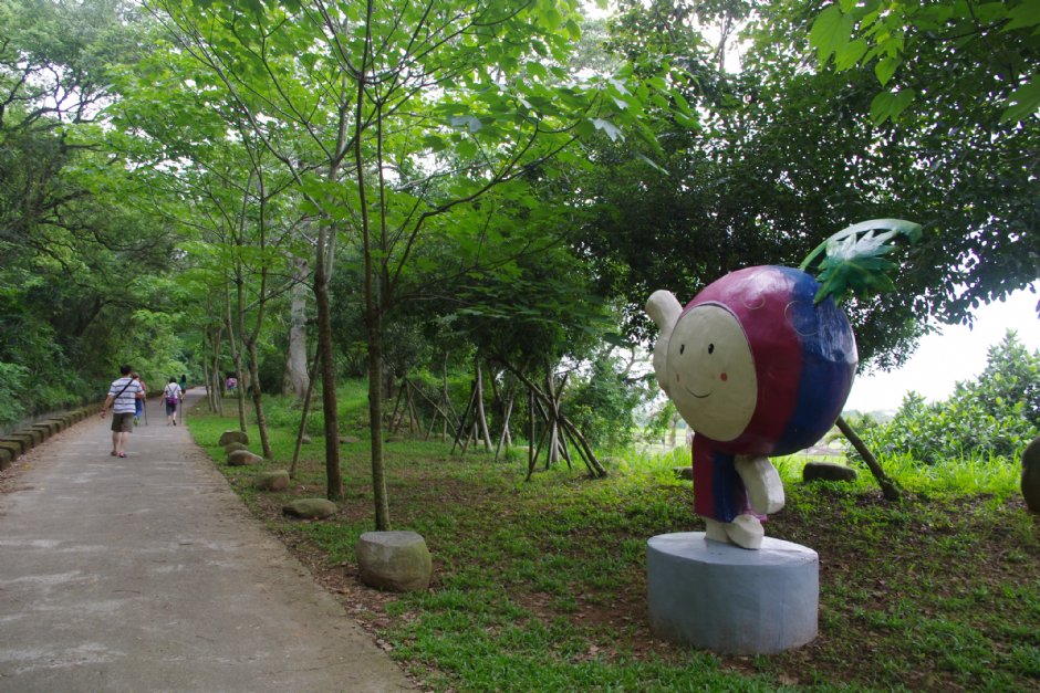 永豐六分桐花步道 攝影：Eva隨手拍