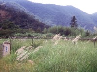 曲冰遺址一景<br/> 攝影：南投縣政府