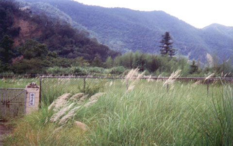 曲冰遺址一景 攝影：南投縣政府