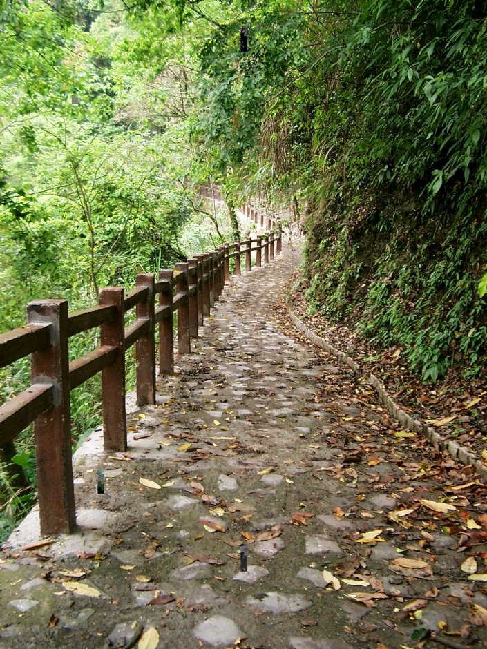 天主堂旁步道 攝影：Eva隨手拍