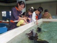 魚你同行<br/> 攝影：國立海洋生物博物館
