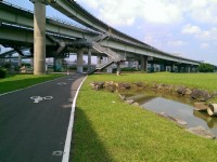 華江雁鴨自然公園<br/> 攝影：Eva隨手拍