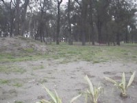 園區一景<br/> 攝影：郭香妙