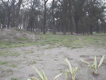 園區一景 攝影：郭香妙
