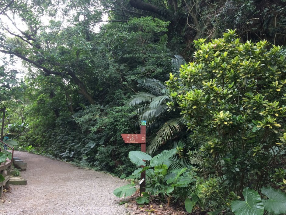 富陽自然生態公園 攝影：Eva隨手拍