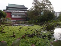 台北植物園<br/> 攝影：xcatx