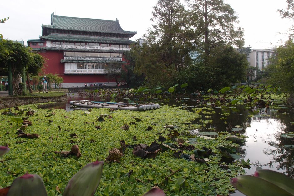 台北植物園 攝影：xcatx