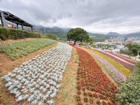 北投社三層崎公園大片花海被譽為台版富良野<br/> 攝影：Eva隨手拍