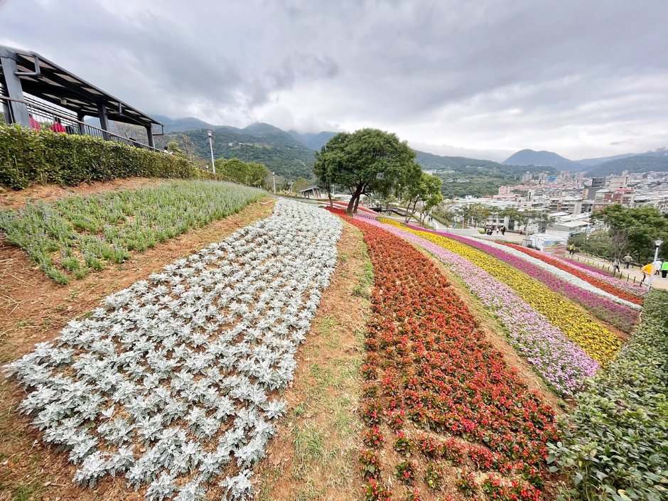 北投社三層崎公園大片花海被譽為台版富良野 攝影：Eva隨手拍