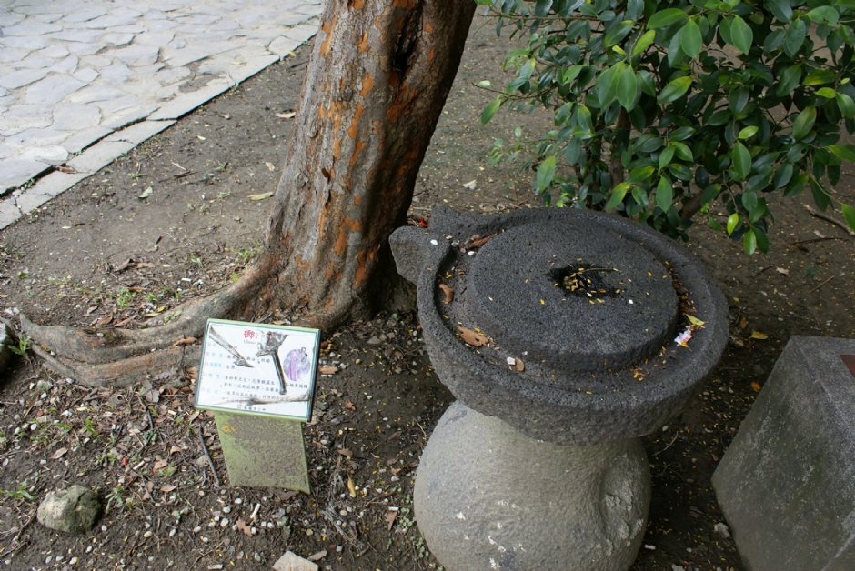 板橋農村公園 攝影：Eva隨手拍