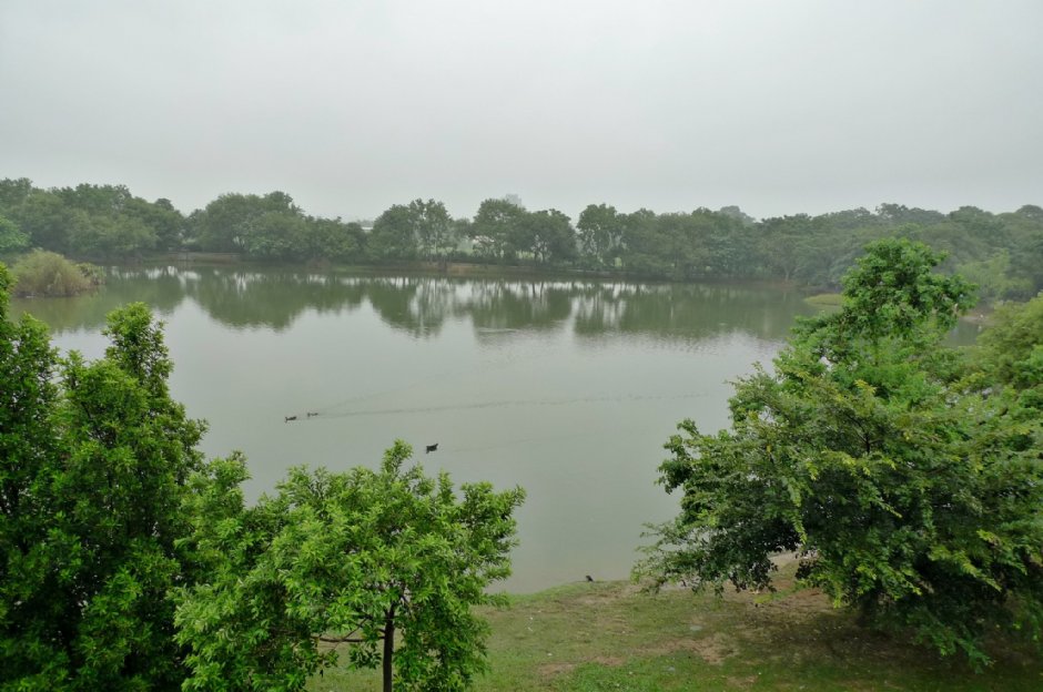 八德埤塘生態公園 攝影：Eva隨手拍