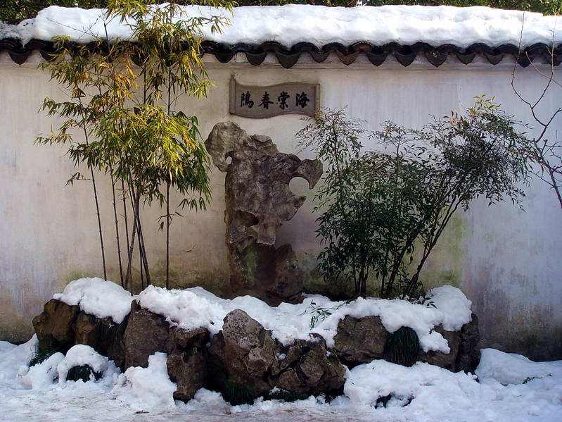 海棠春隝 攝影：余佳樺