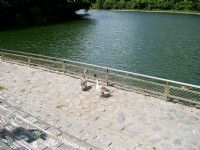 長埤湖風景區觀湖步道<br/> 攝影：Eva隨手拍