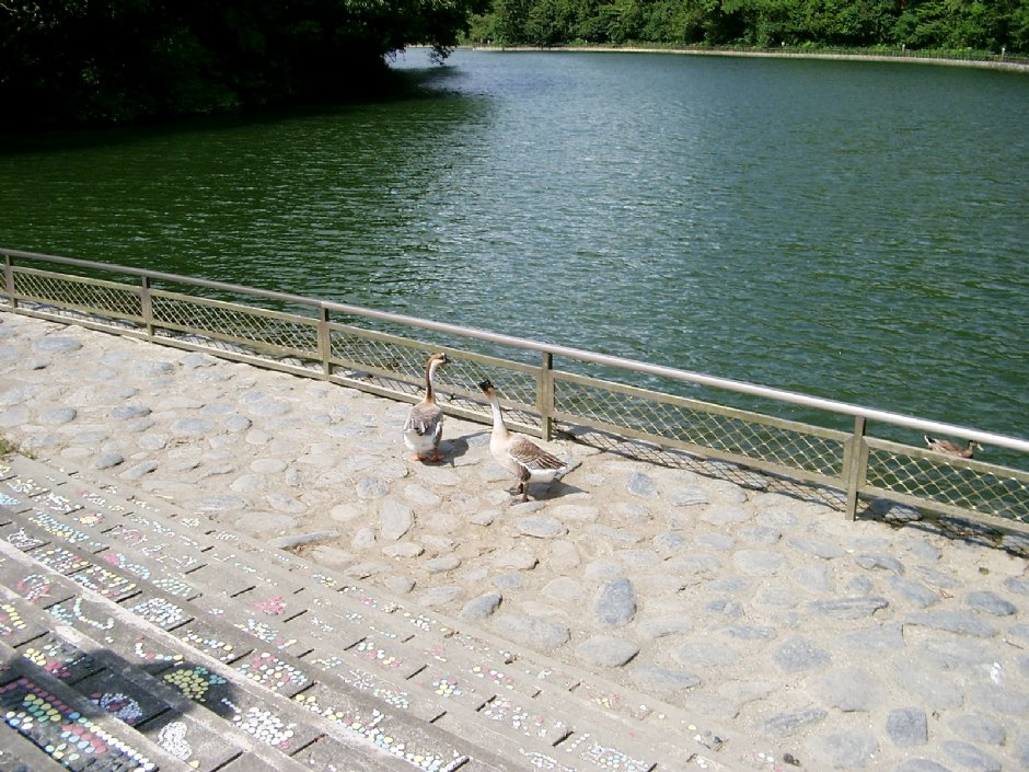 長埤湖風景區觀湖步道 攝影：Eva隨手拍