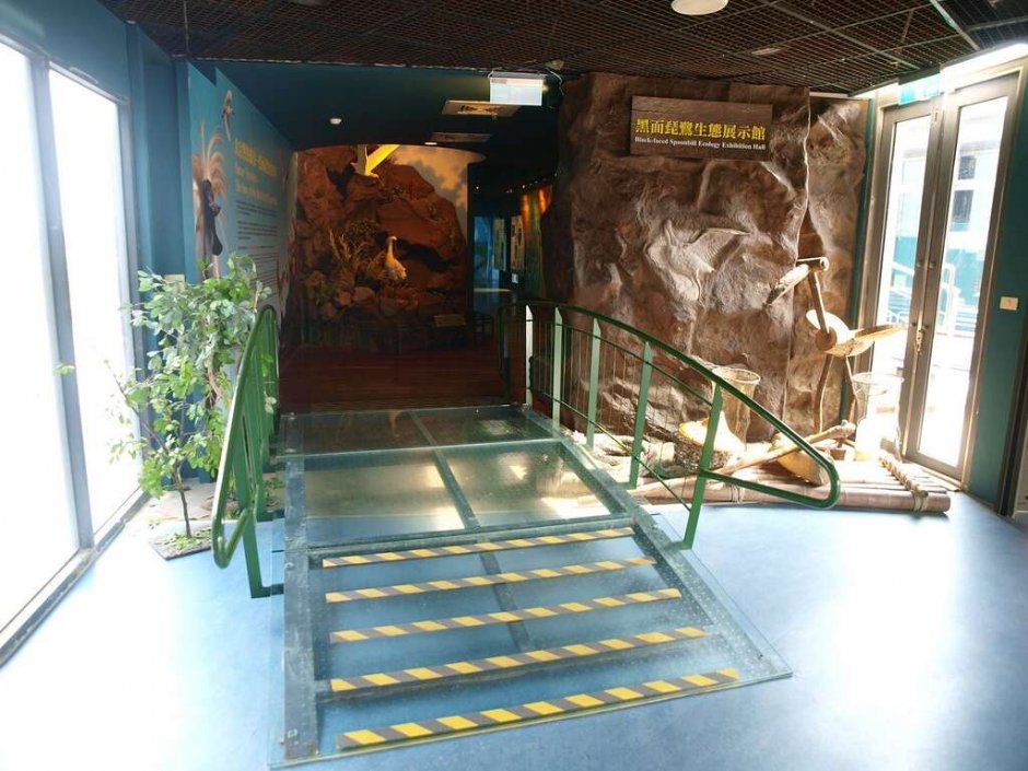 黑面琵鷺生態展示館入口 攝影：照片來源_台南旅遊網