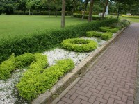 知卡宣森林公園<br/> 攝影：Eva隨手拍