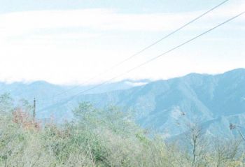 淡淡山色 攝影：呂玫瑢