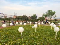 江翠礫間水岸公園<br/> 攝影：Eva隨手拍