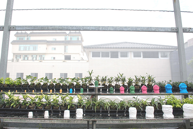 水凝膠公仔花園 攝影：虹泰水凝膠世界