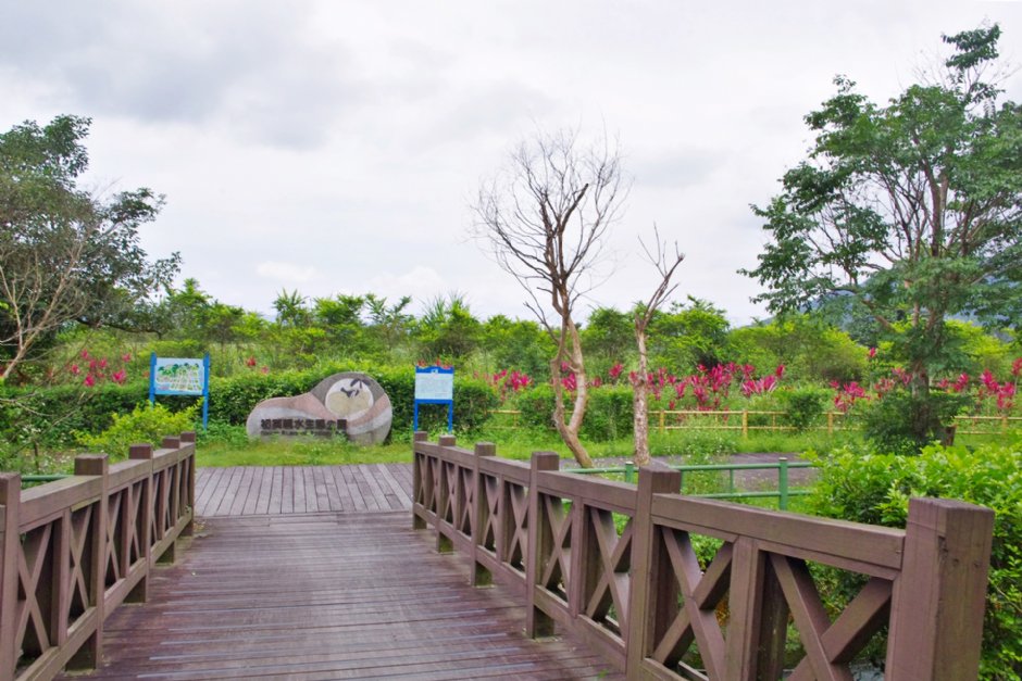 初英親水生態公園 攝影：Eva隨手拍