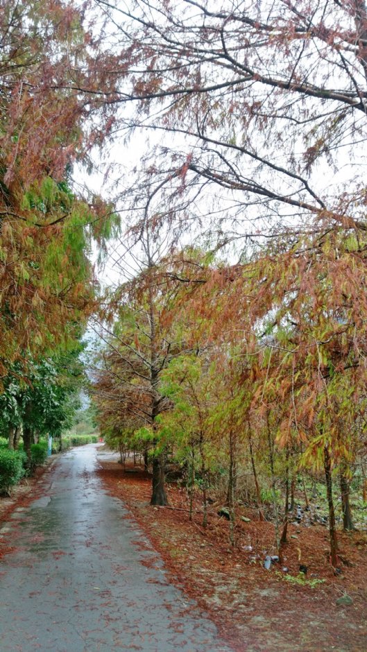 初英親水生態公園 攝影：Eva隨手拍