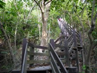 漯底山自然公園<br/> 攝影：三井