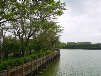 天鵝湖環湖木棧道<br/> 攝影：旅遊王攝影組