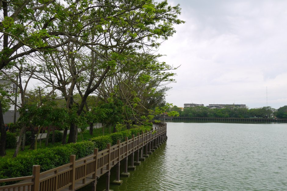 天鵝湖環湖木棧道 攝影：旅遊王攝影組