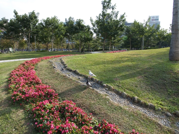 康樂公園 攝影：kavin