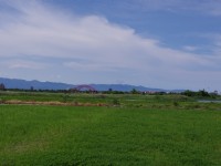 五十二甲湿地<br/> 摄影：Eva隨手拍