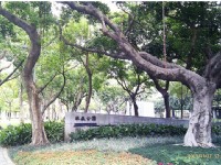 林森公園<br/> 攝影：Eva隨手拍
