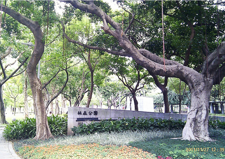林森公園 攝影：Eva隨手拍