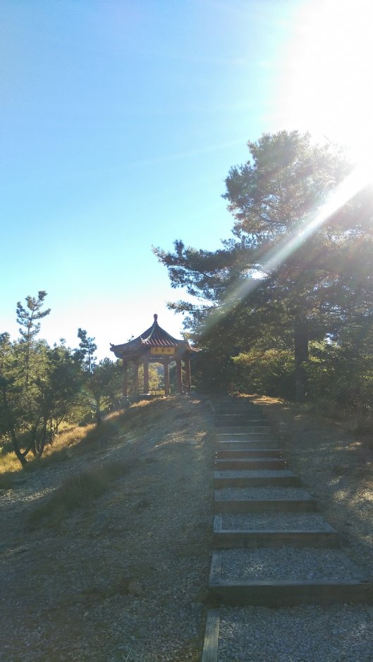 大雪山國家森林遊樂區 攝影：晏伶