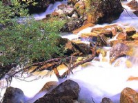 米亞羅風光-04<br/> 攝影：四川旅遊信息網