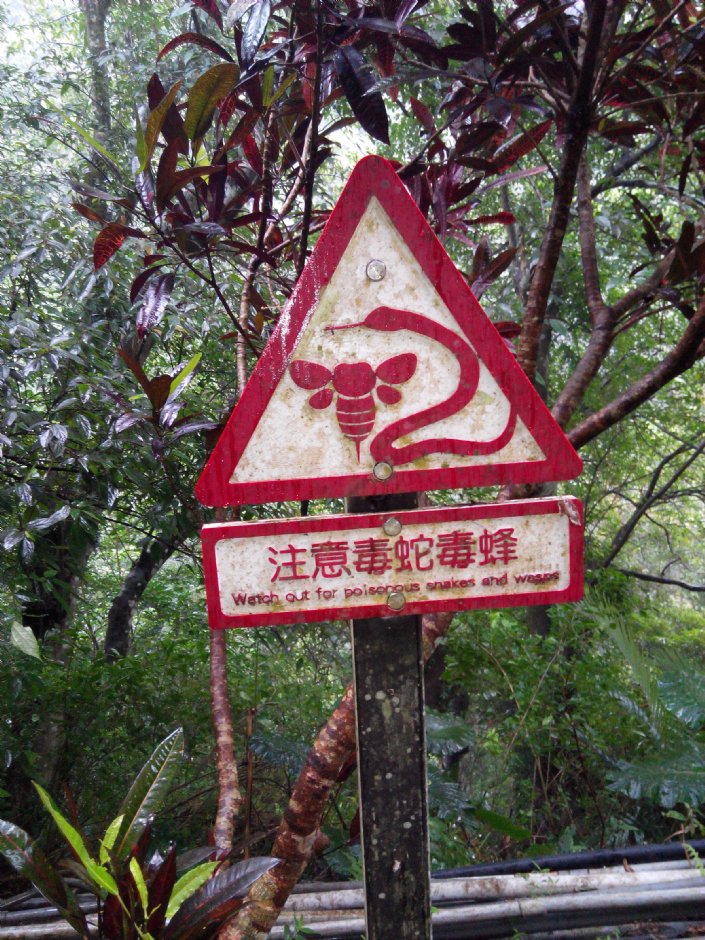 跑馬古道 攝影：Lu
