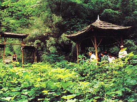 山中小徑 攝影：四川旅遊信息網