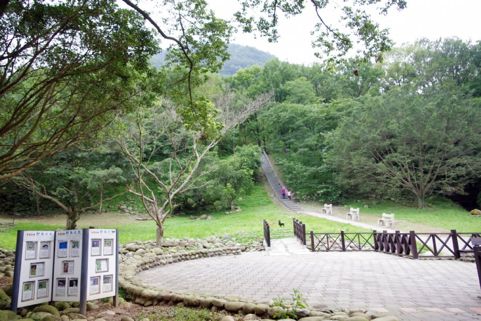 槭林公園步道 攝影：Eva隨手拍