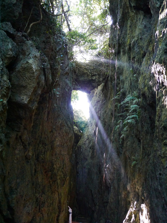 社頂公園小裂谷 攝影：三井