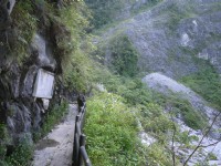 長春祠步道201607<br/> 攝影：旅遊王攝影組