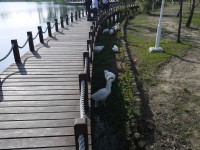 台南都會公園<br/> 攝影：旅遊王攝影組