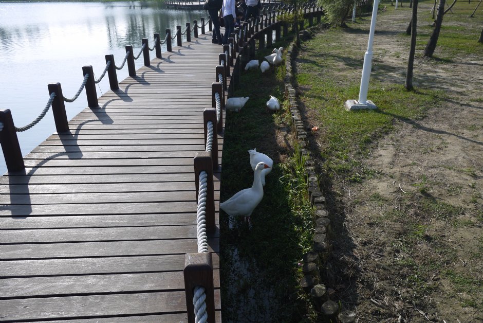台南都會公園 攝影：旅遊王攝影組