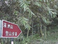 溪洲山登山步道
