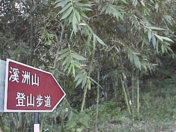 溪洲山登山步道 攝影：郭香妙