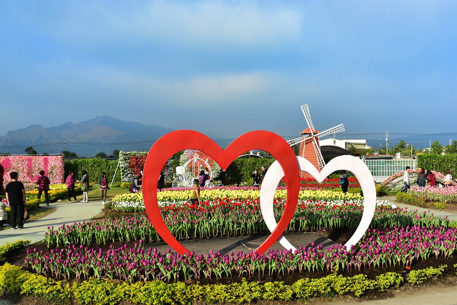 花海 攝影：中社觀光花市