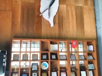 虱目魚主題館<br/> 攝影：虱目魚主題館 提供