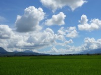 meiyin<br/> 攝影：池上環圳自行車道