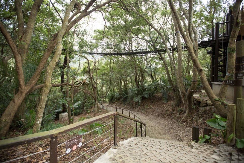 巴陵古道生態園區步道 攝影：桃園市政府觀光旅遊局 提供
