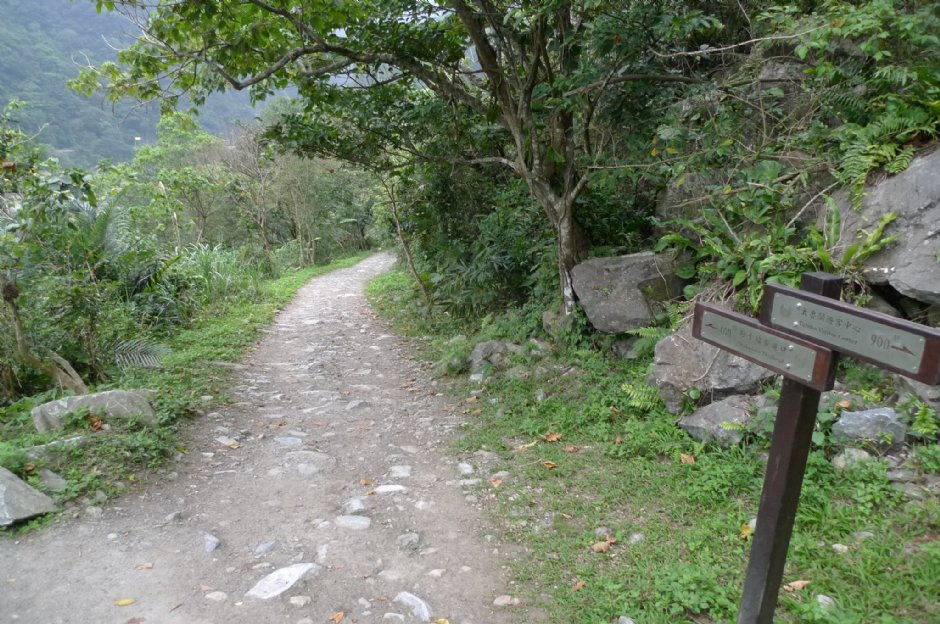 小錐麓步道 攝影：Eva隨手拍